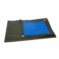 DEKKLEED BLAUW-GROEN 8 X 10M 150 GRAM 4TECX