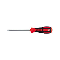 SCHROEVENDRAAIER TORX TX30 115MM 4TECX