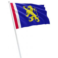 VLAG LEEUWARDEN 100X150