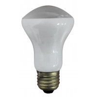 GLOEILAMP LEESLAMP 100W E27